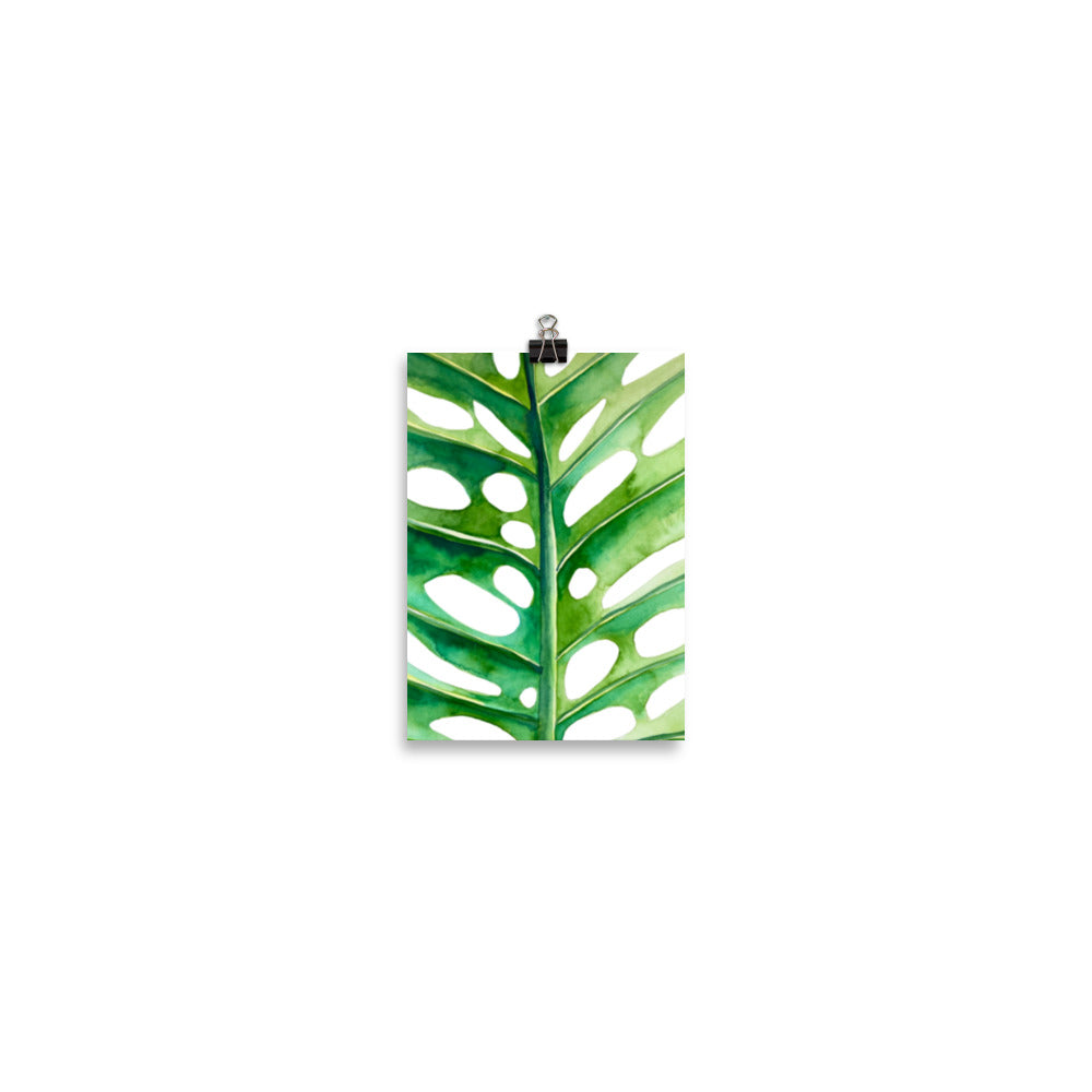 Monstera Poster