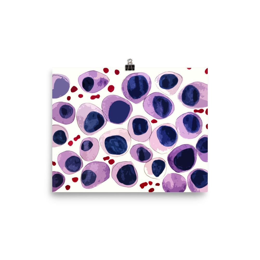 Blood cells Poster