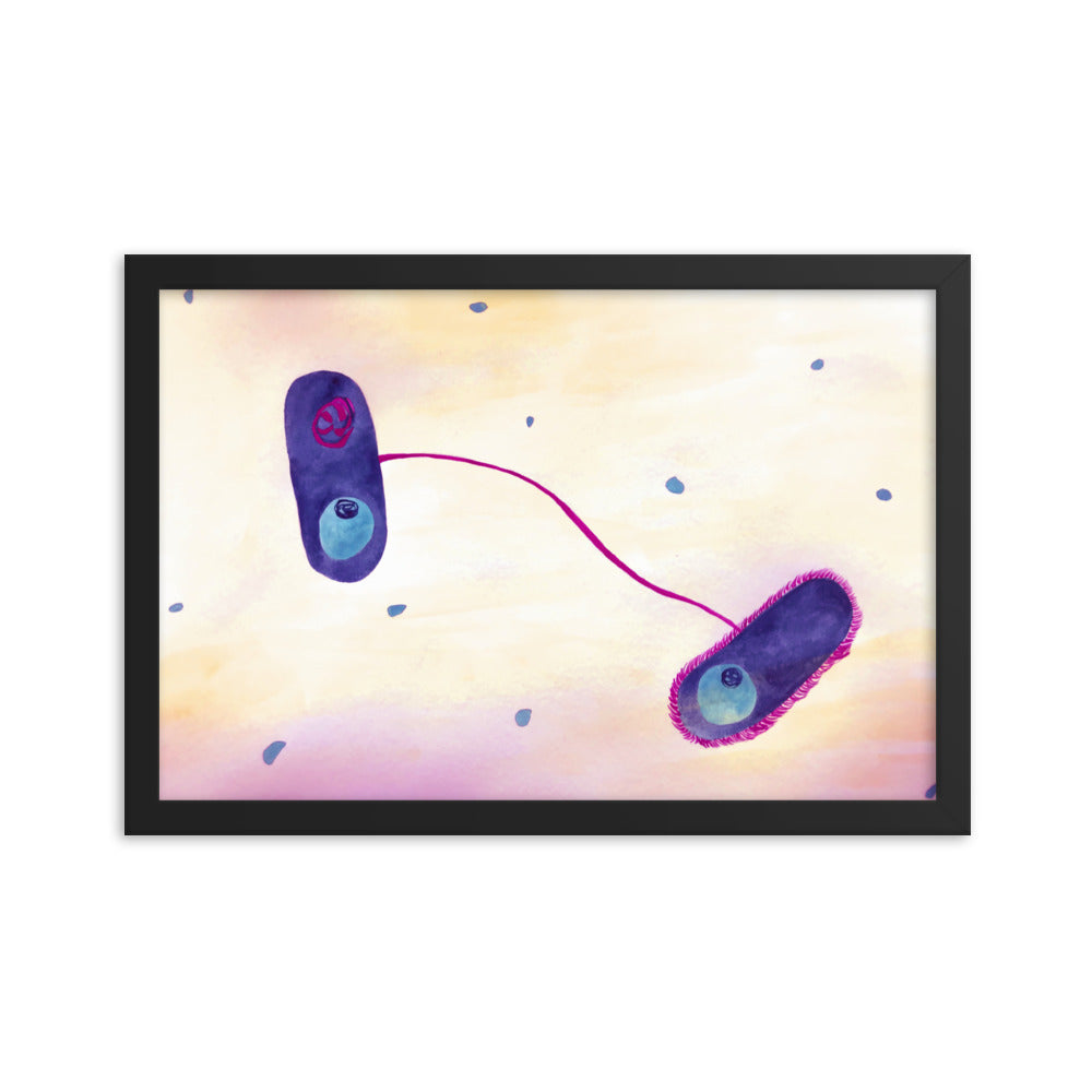 E. coli Framed poster