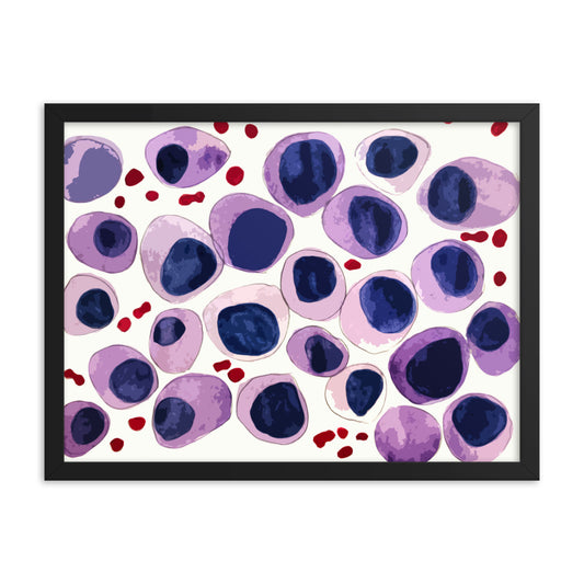 Blood cells Framed poster