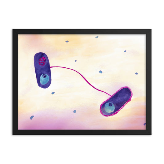 E. coli Framed poster