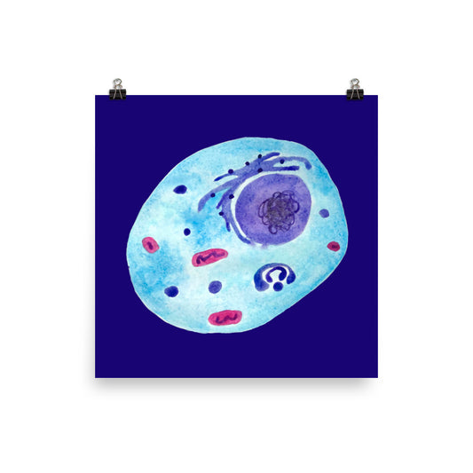 Animal cell Poster