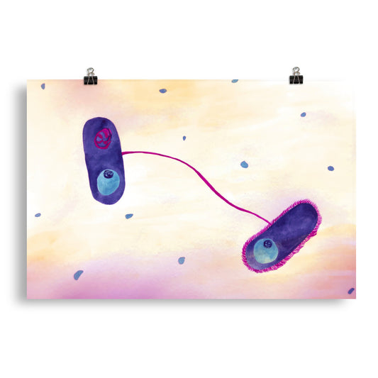 E. coli in love Poster